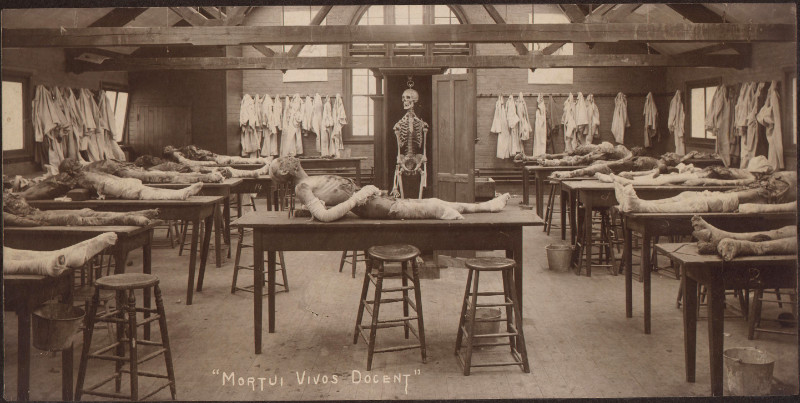 Salle de dissection d'une université de médecine du XIXème siècle